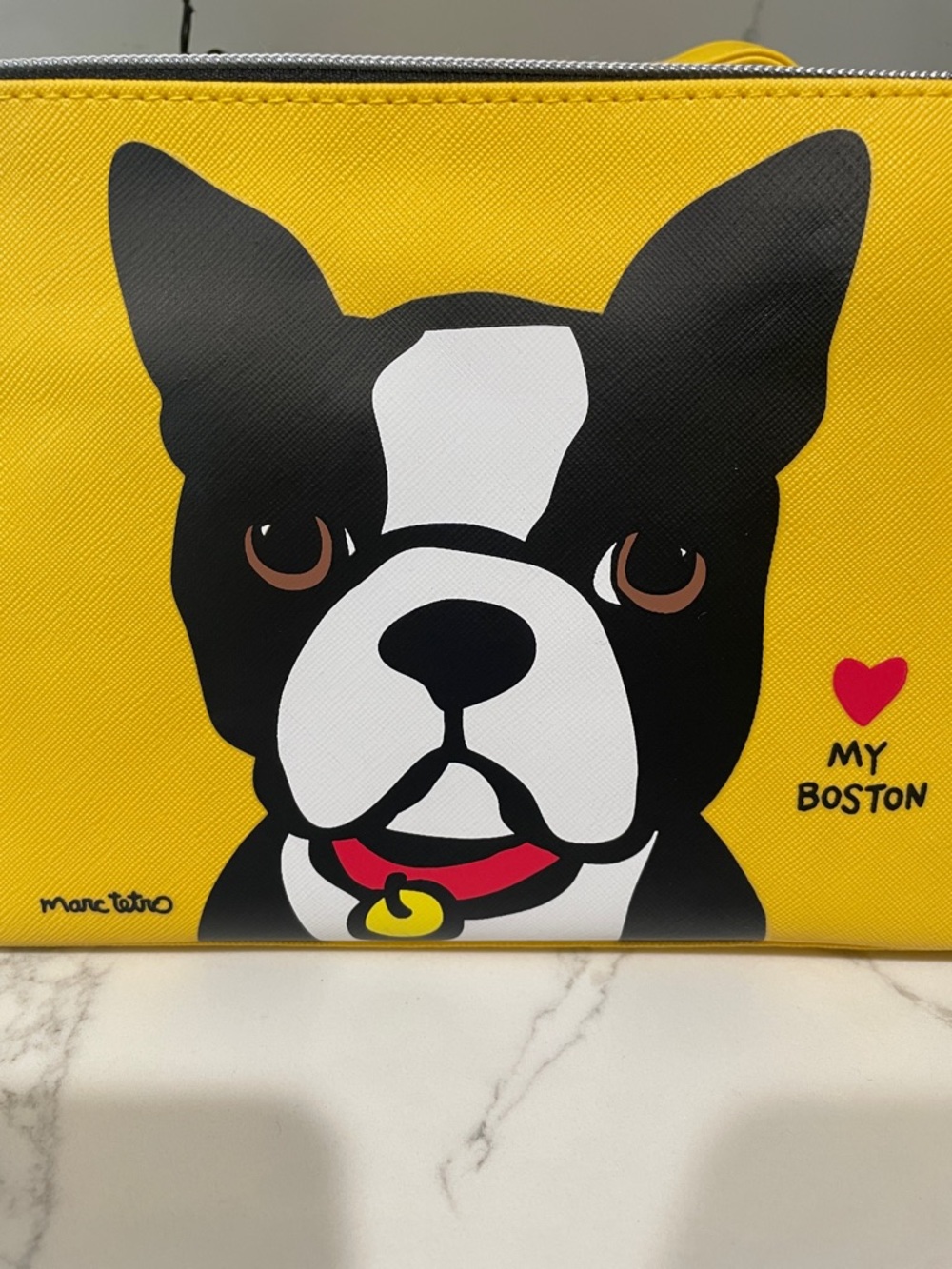 Marc Tetro Yellow 'My Boston' Cosmetic Pouch Set of 2 - Picture 9 of 12